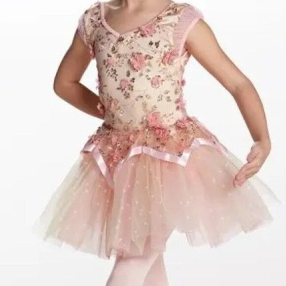 Weissman Dance Costume Testify to Love Girls IC 7 Pink Floral Sequin Ballet Tutu - Picture 1 of 5